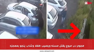 هجوم دب مروع يقتل مسنة ويصيب طفلا وشاب ينجو بمعجزة